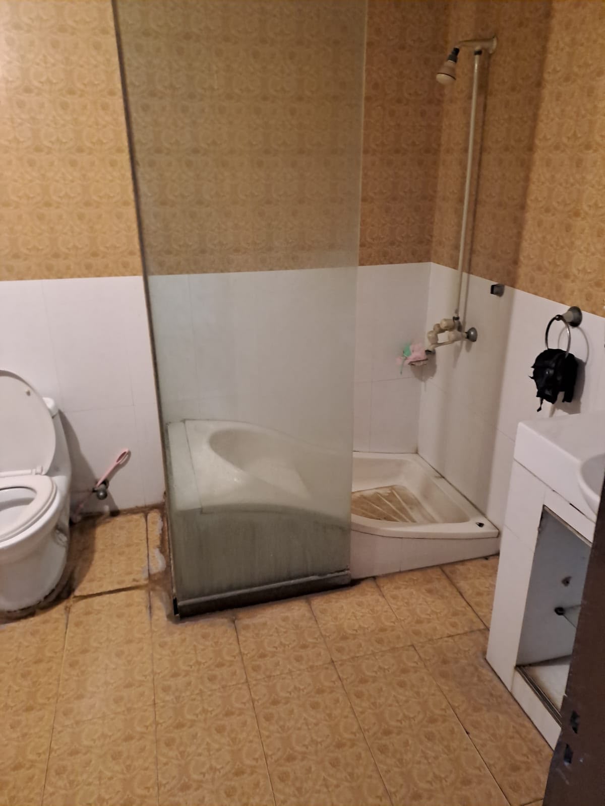 10 Marla House for Sale in D Block, Faisal Town Lahore