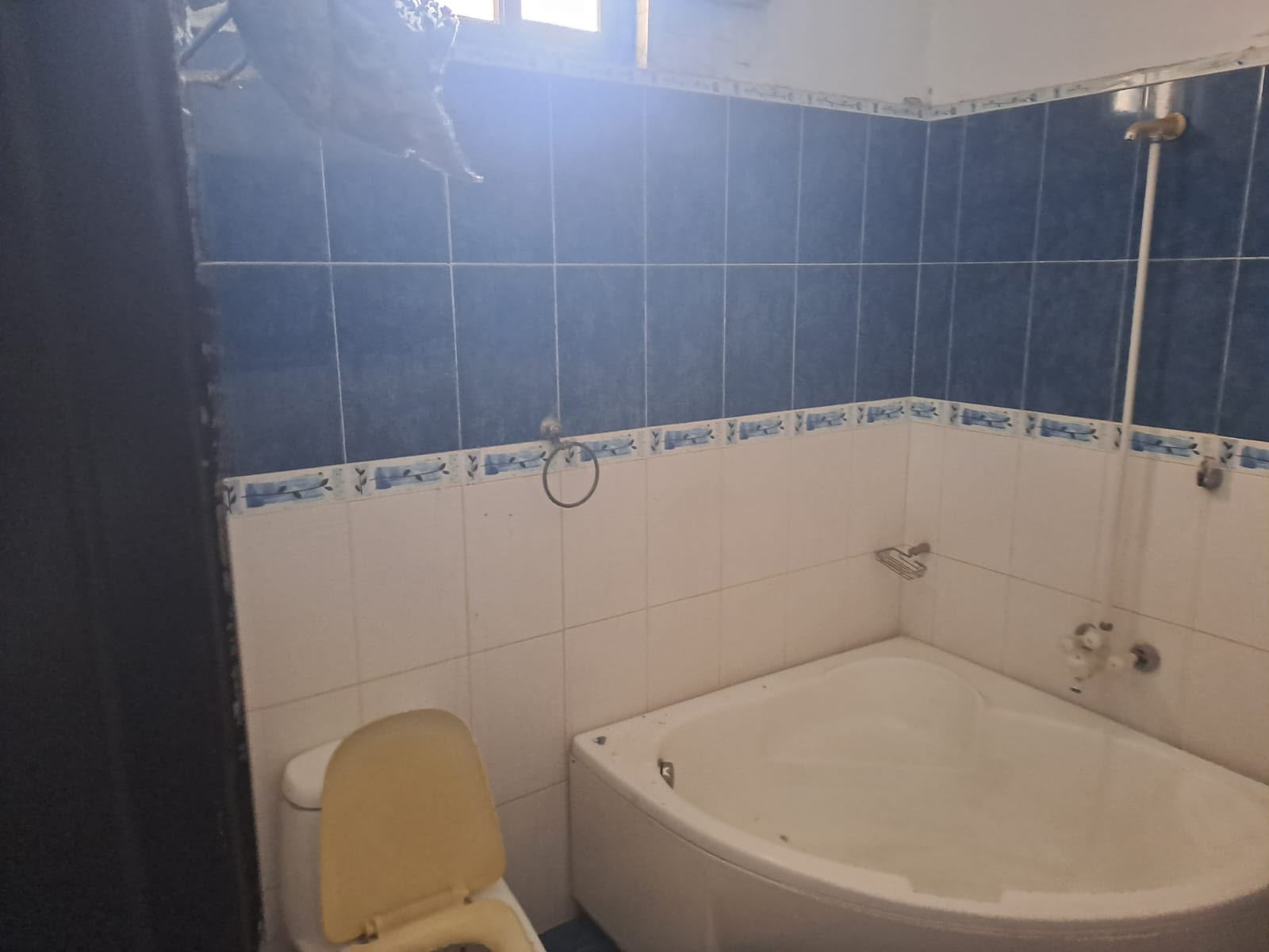 10 Marla House for Sale in D Block, Faisal Town Lahore